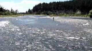 Flyfishing the Tongariro River New Zealand [upl. by Buddy]