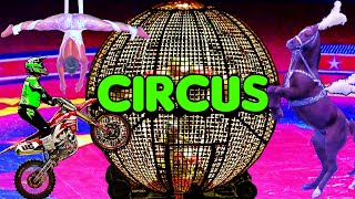 Circus Show 2023 Spectacular  Motorcycles in Globe 🌐 Arabian Horses 🐎 Clowns 🤡 and Much More [upl. by Zipporah]