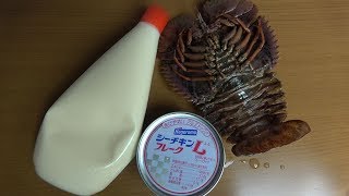 朝ごはん作ってみた。『シーチキンマヨ丼』 [upl. by Egap462]