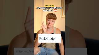 Ich errate eure Dialekt Wörter 🇦🇹⚠️ FOTZHOBEL [upl. by Jankey899]