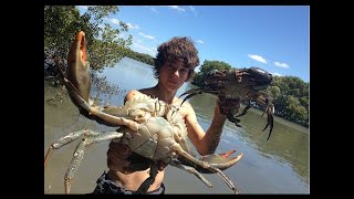 EP 3  HUGE MUDCRABS Caught BAREHANDED  Catch n Cook  With BUTTER LEMON Sauce  TDK [upl. by Hayton823]