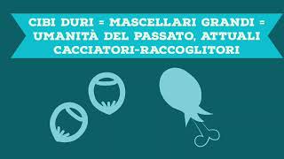 Il giro del mondo alla ricerca delle malocclusioni [upl. by Jordana]