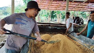 Muscovado Sugar Production [upl. by Helman407]