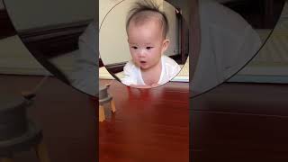 Where Is The Horse Going  Baby Video Baby Funny Video  Small baby Cute Video  Videos [upl. by Ramu349]