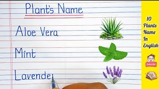 Plants Name 10  Plants Name in English  Names of Plants  Plant Name [upl. by Josephson]