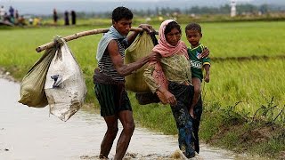 Birmanie  les Rohingyas dénoncent des atrocités [upl. by Esiled]