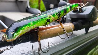 Pike love Big Musky Lures [upl. by Marcie379]