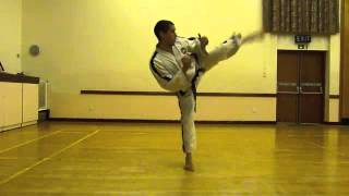 HwaRang Tul  TotalTKD  ITF TaekwonDo patterns [upl. by Naveb901]