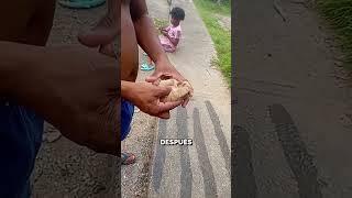 Pelotas de Béisbol Caseras ⚾😳 shorts curiosidades venezuela [upl. by Fidelia635]