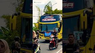 TSUBASA NIH ‼️tsubasa tisalgrub basuri busmania buspariwisata subscribe ets2shortsviral fyp [upl. by Vedis]