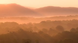 Curlew Country [upl. by Holmun]