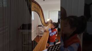 Fast version Rouet Harp by Alphonse Hasselmans [upl. by Nikita220]