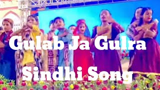 Gulab Ja Gulra Teblo dance گلاب جا گلڙا [upl. by Ayiram]