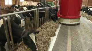 Lely Vector  Experience  NL [upl. by Irehc]