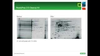 2D Electrophoresis Tips amp Tricks  Part I [upl. by Filmer]