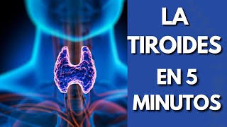 ¿QUÉ ES LA TIROIDES Y PARA QUE SIRVE [upl. by Aneele]