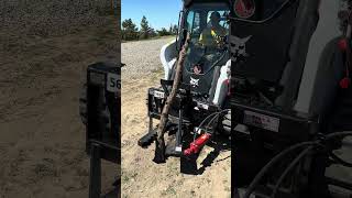 2023 Industrias America Skid Steer Tree Shear ranch homestead offgrid ranchlife skidsteer [upl. by Ruyle]