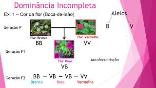Dominância completa Dominância incompleta e Codominância  Prof Paulo Caparroz [upl. by Valorie]