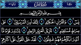 SURAH YASIN YASEEN سورة يس كاملة  AMAZING VOICE QURAN RECITATION  AKBAR TV DOA [upl. by Eirrem816]