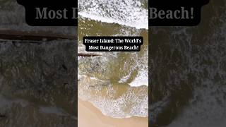 Fraser Island The Worlds Most Dangerous Beach fraserisland australia factvideo shortfacts [upl. by Voletta546]