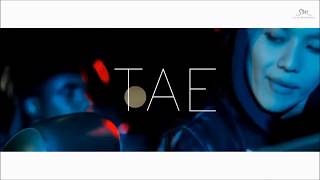 Artistic Groove  TAEMIN SHINEE Official FMV [upl. by Nawad91]