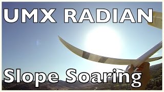 Kite Hill Slope Soaring UMX Radian [upl. by Asel609]