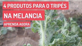 4 PRODUTOS PARA TRIPÉS NA MELANCIA [upl. by Papke570]