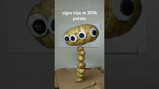 sigra tipe m 2016 potato [upl. by Anoiuq]