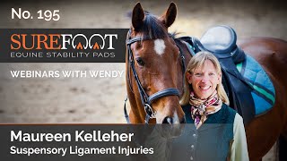 No 195 Maureen Kelleher DVM  Suspensory Ligament Injuries [upl. by Junie405]