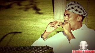 DALMAR YARE 2013 WAAN IMANAYAA OFFICIAL VIDEO DIRECTED BY STUDIO LIIBAAN [upl. by Nnylyar]