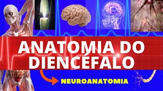 ANATOMIA DO DIENCÉFALO ANATOMIA HUMANA  NEUROANATOMIA DO DIENCÉFALO  SISTEMA NERVOSO [upl. by Jovitah224]