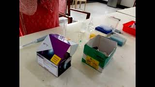 Ouchterlony double diffusion amp Immunoelectrophoresis  Part 1 [upl. by Nevaed414]