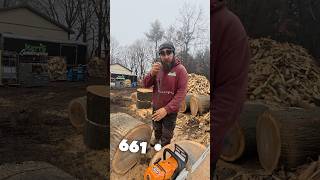 We Broke the Chain stihl chainsaw [upl. by Thirzi]