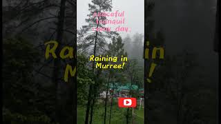 shortvideo trending viral ytshorts youtube Raining at Murree vs Lahore [upl. by Jaquelyn]