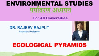 Ecological Pyramids  Environmental Studies [upl. by Shih136]