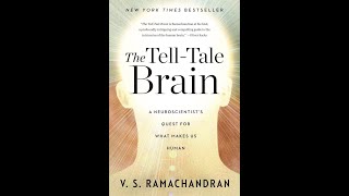 quotThe TellTale Brainquot By VS Ramachandran [upl. by Aicilaana665]