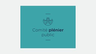 Comité plénier public du 3 décembre 2024 [upl. by Costanza]