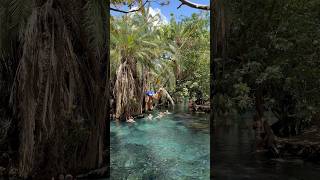 🇹🇿Chemka Hot Springs  Tanzania thetomislav tomislavraukovic [upl. by Monsour]