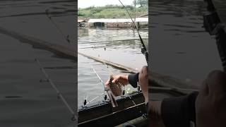 Lapet lapet dasar fyp shorts mancing fishing [upl. by Rowley]