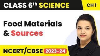 Class 6 Science Chapter 1  Food Materials and Sources  Food Where Does It Come From [upl. by Holub]