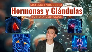 TODO lo que un ESTUDIANTE debe saber del sistema ENDOCRINO TortoraDerrickson [upl. by Snowman]