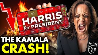 Kamala CRASH Stock Market Crypto COLLAPSE Global Recession Soon World on FIRE  Trump Was RIGHT [upl. by Lexa]