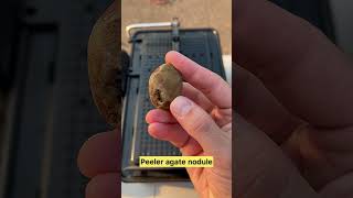 Cutting Peeler Agate Nodule with Lapidary Saw shorts [upl. by Akiam]