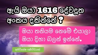 1616 දේවදූත අංකය  1616 Angel number meaning [upl. by Gar]