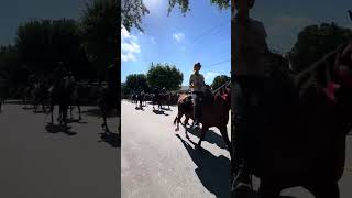 2024 Mule Days Parade Finale 75th Anniversary Benson North Carolina [upl. by Eiuol]