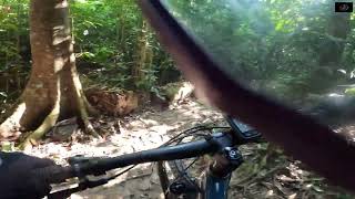 BALIK LOOB SA TRAIL AFTER 7 MONTHS  T15  CHESNUT MTB PARK [upl. by Airdnat286]