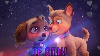 Paw Patrol If Only Skase Edit💙🩷🐾 [upl. by Nanek433]