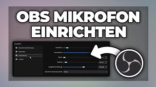 OBS Mikrofon richtig einstellen amp Rauschen entfernen  Tutorial [upl. by Ecnarrat]