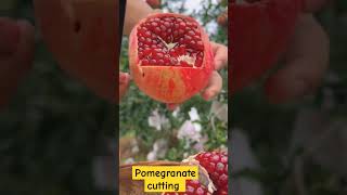 pomegranate cutting pomegranate fruit fruitcutting reels shorts [upl. by Jodie]