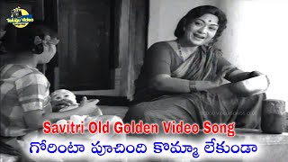 సావిత్రి గారిని అలా చూస్తూ ఉండిపోతారు Gorinta Poochindi Komma Lekunda Video Song  Gorintaku Movie [upl. by Nevs]